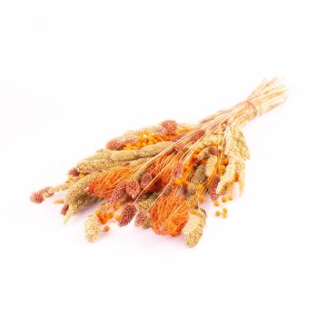 Torkad blomsterbukett FLORALIE, orange-natur, 55cm, Ø18cm Torkad blomsterbukett FLORALIE, orange-natur, 55cm, Ø18cm