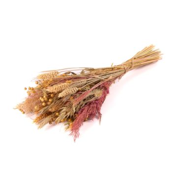 Torkad bukett DILIANE, rosa-naturfärgad, 50cm, Ø15cm Torkad bukett DILIANE, rosa-naturfärgad, 50cm, Ø15cm