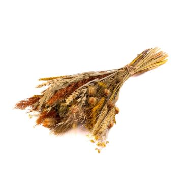 Torkad bukett CARMENTA, gul-natur, 50cm, Ø20cm Torkad bukett CARMENTA, gul-natur, 50cm, Ø20cm