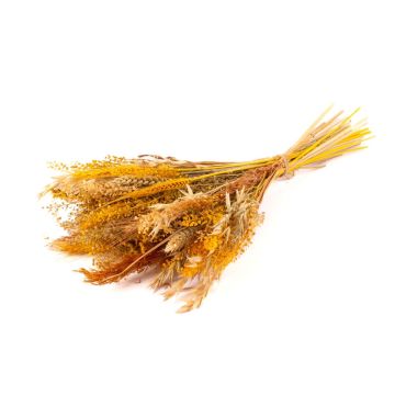 Torkad bukett DILIANE, gul-natur, 50cm, Ø15cm Torkad bukett DILIANE, gul-natur, 50cm, Ø15cm