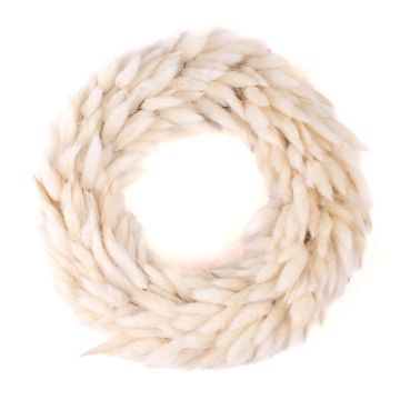 Torkad krans Lagurus RIKARDA, krämfärgad, Ø25cm Torkad krans Lagurus RIKARDA, krämfärgad, Ø25cm
