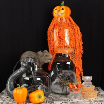 Halloween – Skräcklaboratoriet Halloween – Skräcklaboratoriet