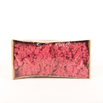 Äkta isländsk mossa SVEINBJÖRN, vattenmelonrosa, 500g
