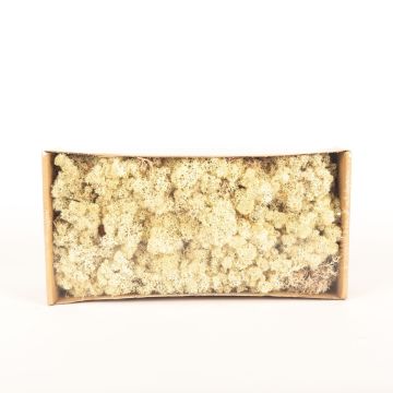 Äkta isländsk mossa SVEINBJÖRN, natur, 500g
