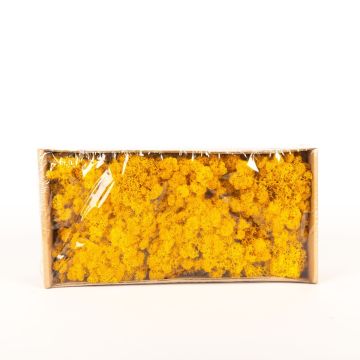 Äkta isländsk mossa SVEINBJÖRN, ockragula, 500g Äkta isländsk mossa SVEINBJÖRN, ockragula, 500g