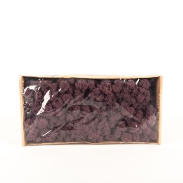 Äkta isländsk mossa SVEINBJÖRN, auberginea, 500g