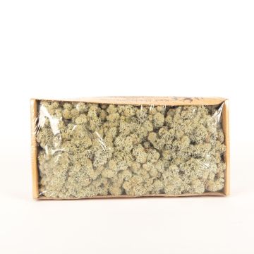 Äkta isländsk mossa SVEINBJÖRN, grå, 500g