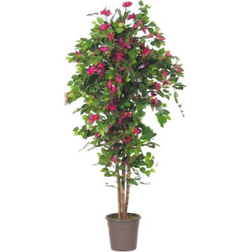 Dekorativ bougainvillea INGELOTTE, äkta stammar, blommor, cerise, 100cm - Tillverkad i Italien Dekorativ bougainvillea INGELOTTE, äkta stammar, blommor, cerise, 100cm - Tillverkad i Italien