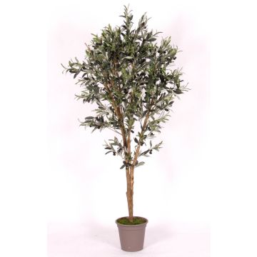 Konstgjord olivträd MIANA, naturliga stammar, med frukter, 125cm - Tillverkad i Italien Konstgjord olivträd MIANA, naturliga stammar, med frukter, 125cm - Tillverkad i Italien
