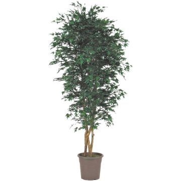 Konstgjord japansk lönn KESCHA, naturstammar, grön, 150cm - Tillverkad i Italien Konstgjord japansk lönn KESCHA, naturstammar, grön, 150cm - Tillverkad i Italien