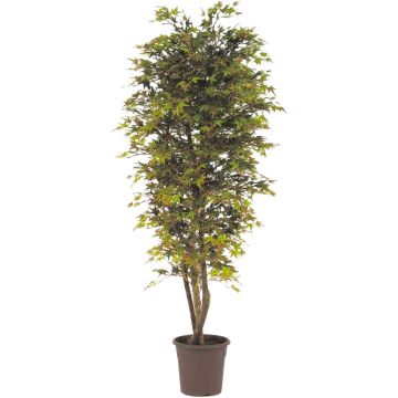 Konstgjord japansk lönn KESCHA, naturliga stammar, grön-röd, 150cm - Tillverkad i Italien Konstgjord japansk lönn KESCHA, naturliga stammar, grön-röd, 150cm - Tillverkad i Italien