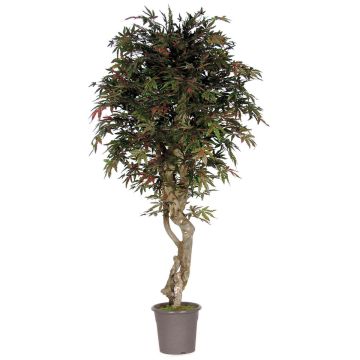 Konstgjord japansk lönn KYRYLO, äkta stam, grön-röd, 200cm - Tillverkad i Italien