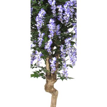 Konstgjord blåregn ERLINA, äkta stam, med blommor, lila, 200cm - Tillverkad i Italien Konstgjord blåregn ERLINA, äkta stam, med blommor, lila, 200cm - Tillverkad i Italien