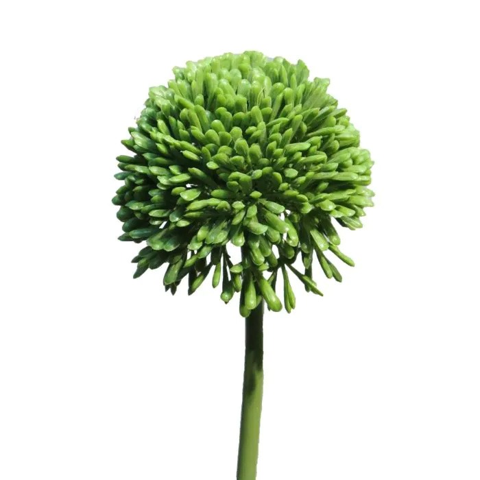 grön