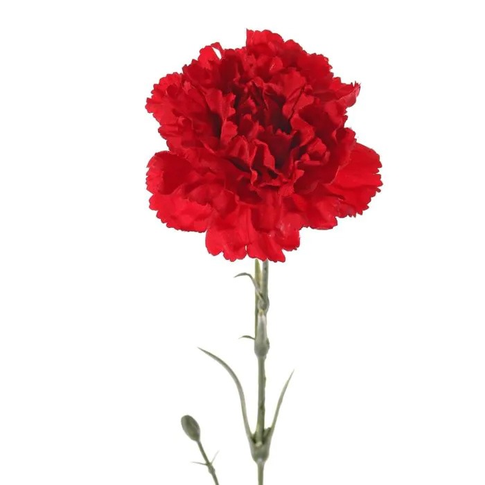 röd