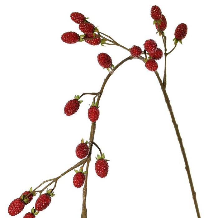 hängande frukt