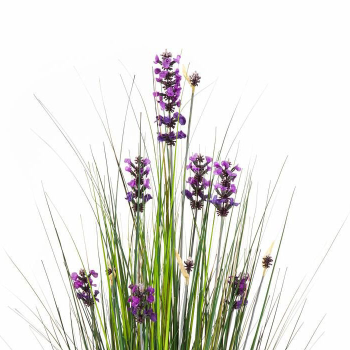 med blüten