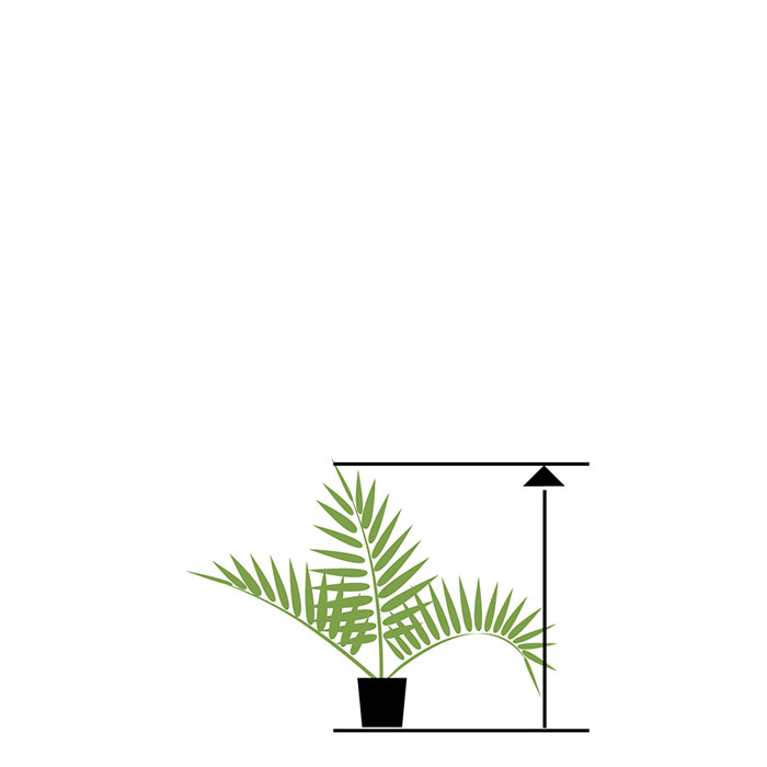 upp till 99 cm