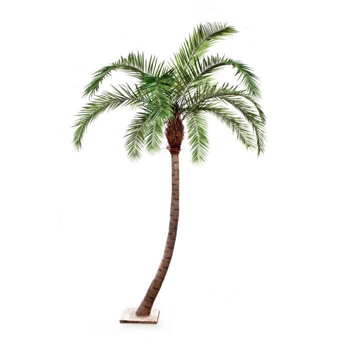 fenixpalm