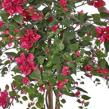 med blommor
