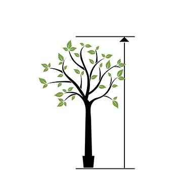 Stora konstträd från 200 cm