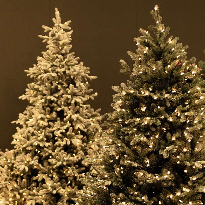 Julgranar