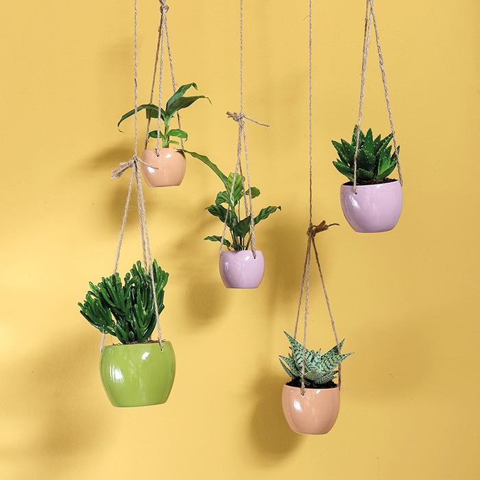 Blomkrukor efter funktion