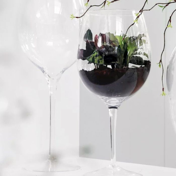 Glas