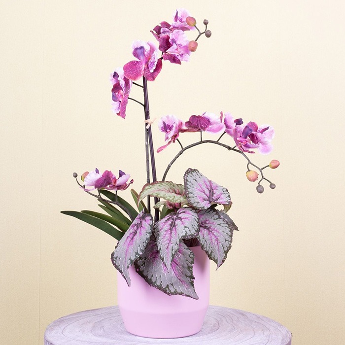 Blommor