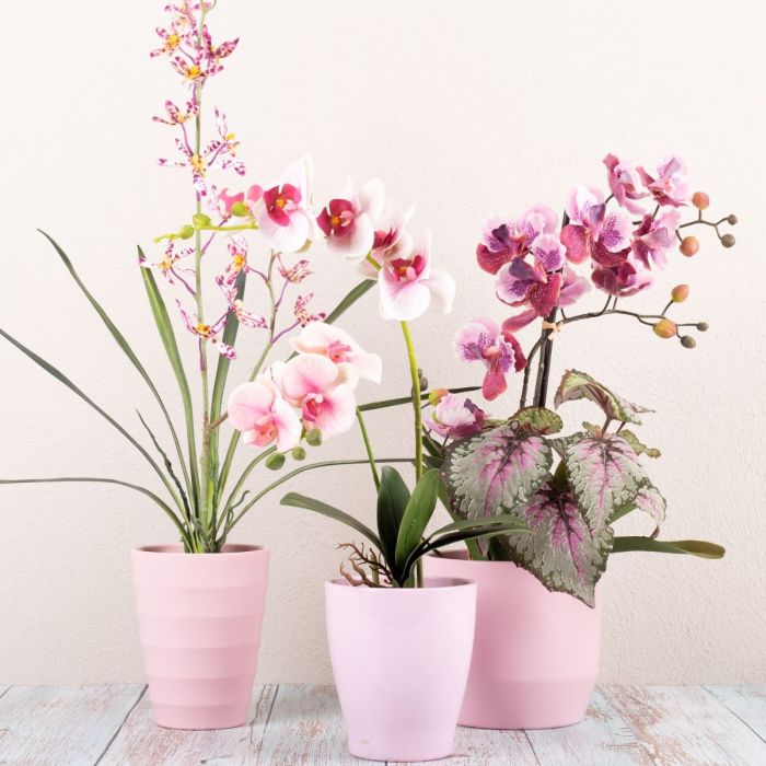 Säg det med blommor del 1-3