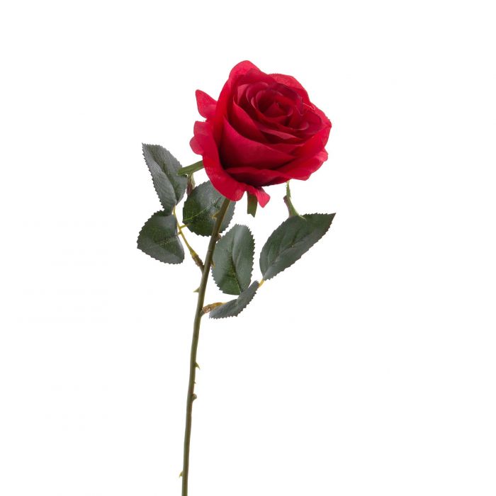 rosor