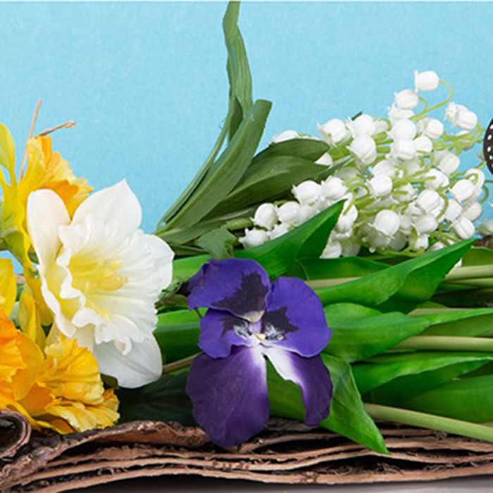 vårblommor