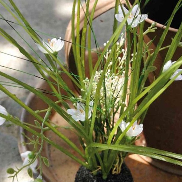 Sommargräs