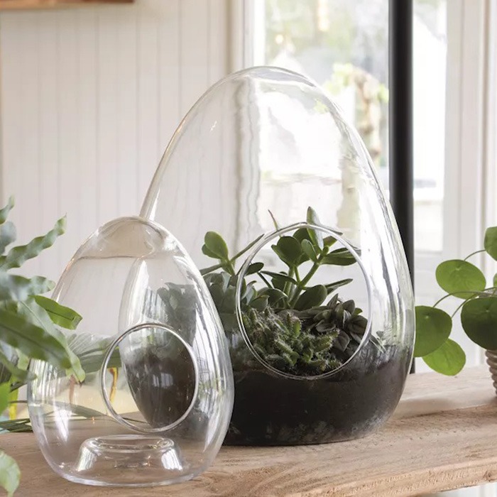 Terrarievaser