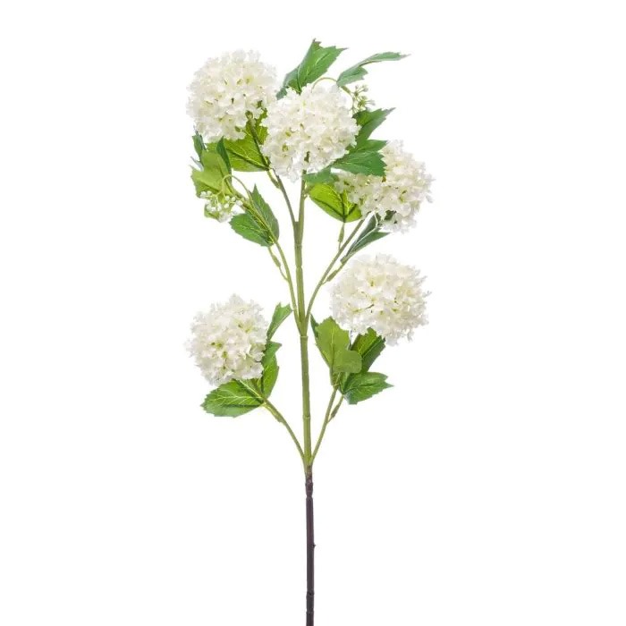 Snowboll