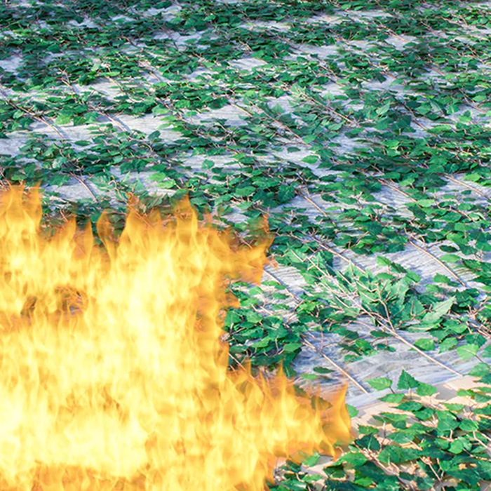 Brand! - Inte med brandsäkra konstväxter!