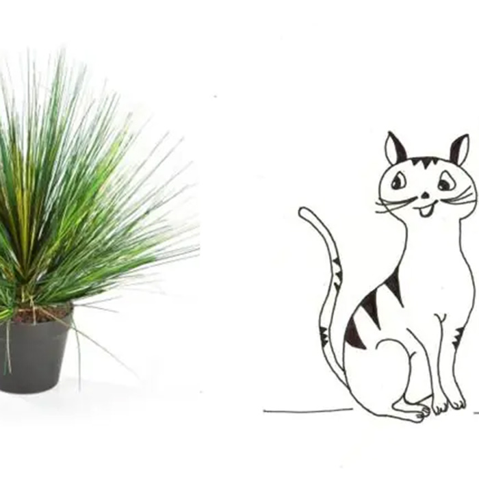 Katter och konstväxter?
