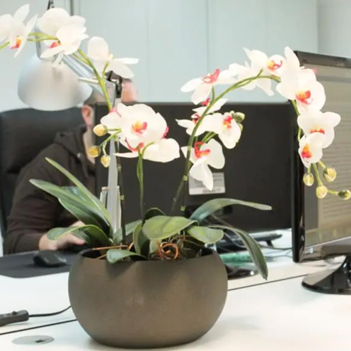 Konstgjorda blommor piggar upp kontorsvardagen
