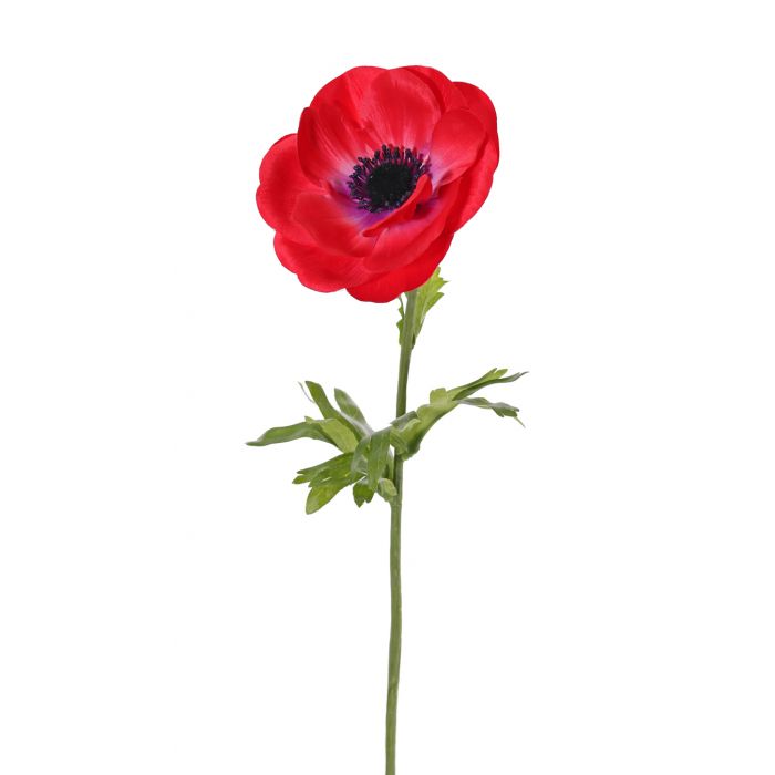 Anemoner