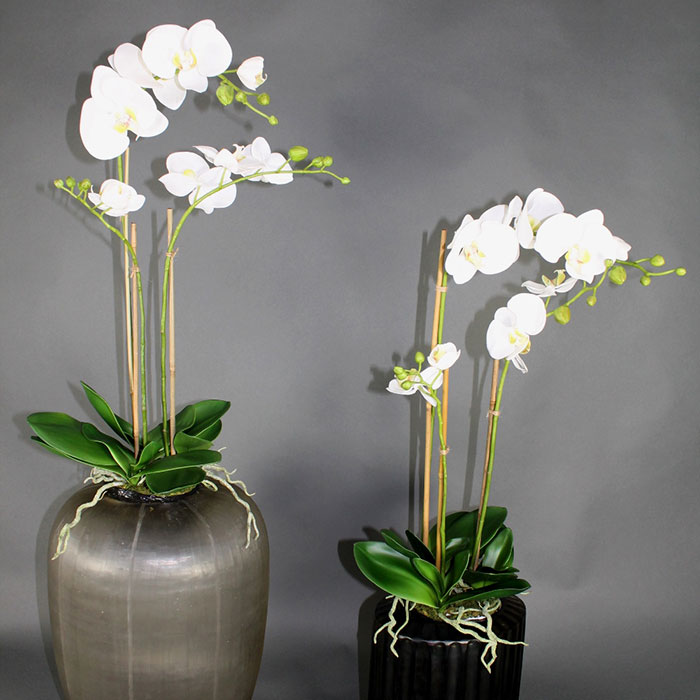 Mode möter konstorkidé – En stilfull blomma erövrar världens modebutiker